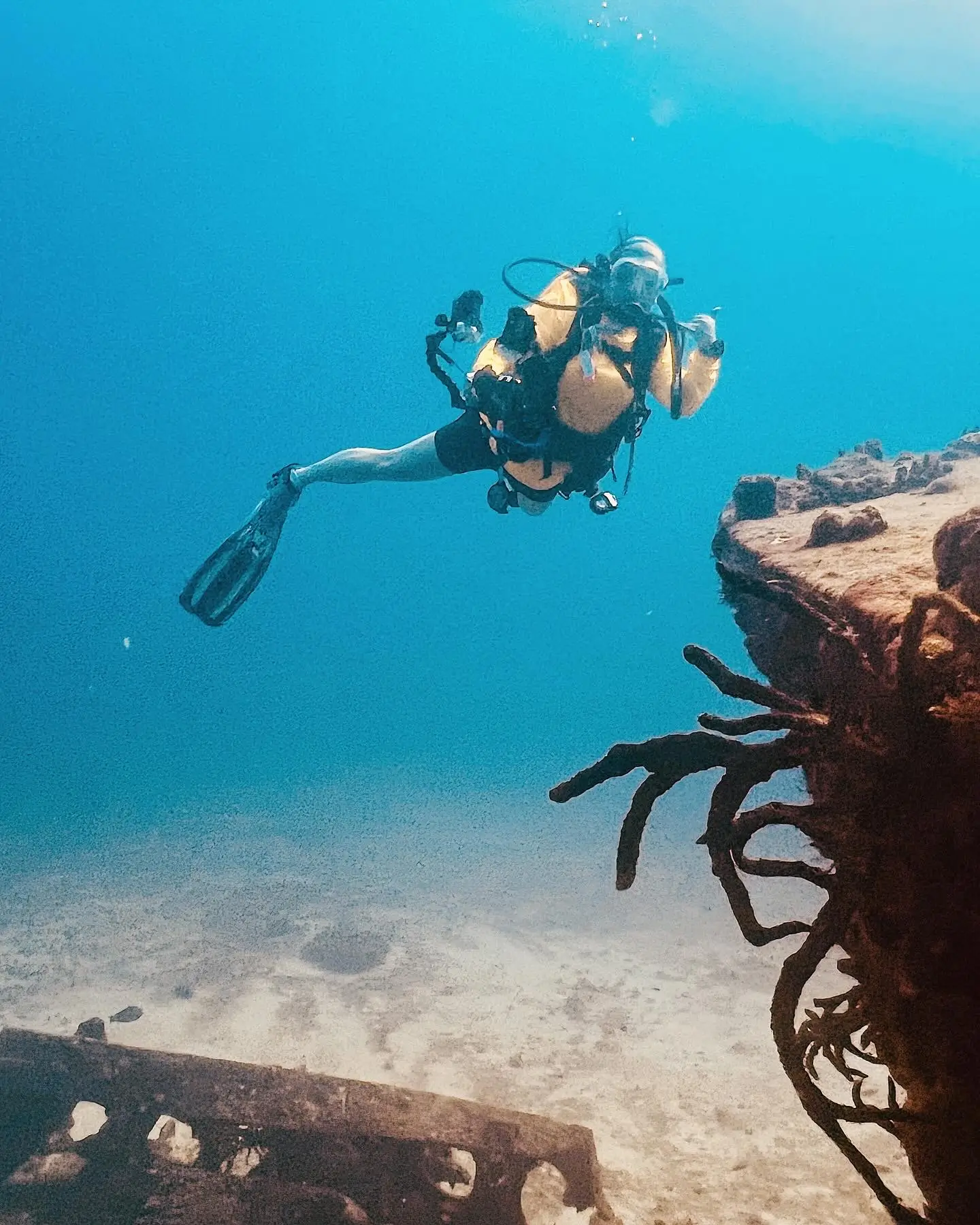 A scuba diver with professional gear explores a wreck, gesturing with one hand and holding a camera, set against a clear blue underwater scene with a rusted, coral-encrusted wreck.
                