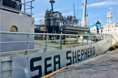 Eco-Warrior Organization Sea Shepherd